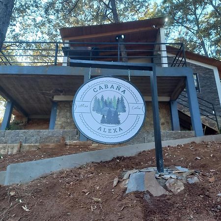 Cabana "Alexa", En El Corazon Del Bosque De Масамітла Екстер'єр фото