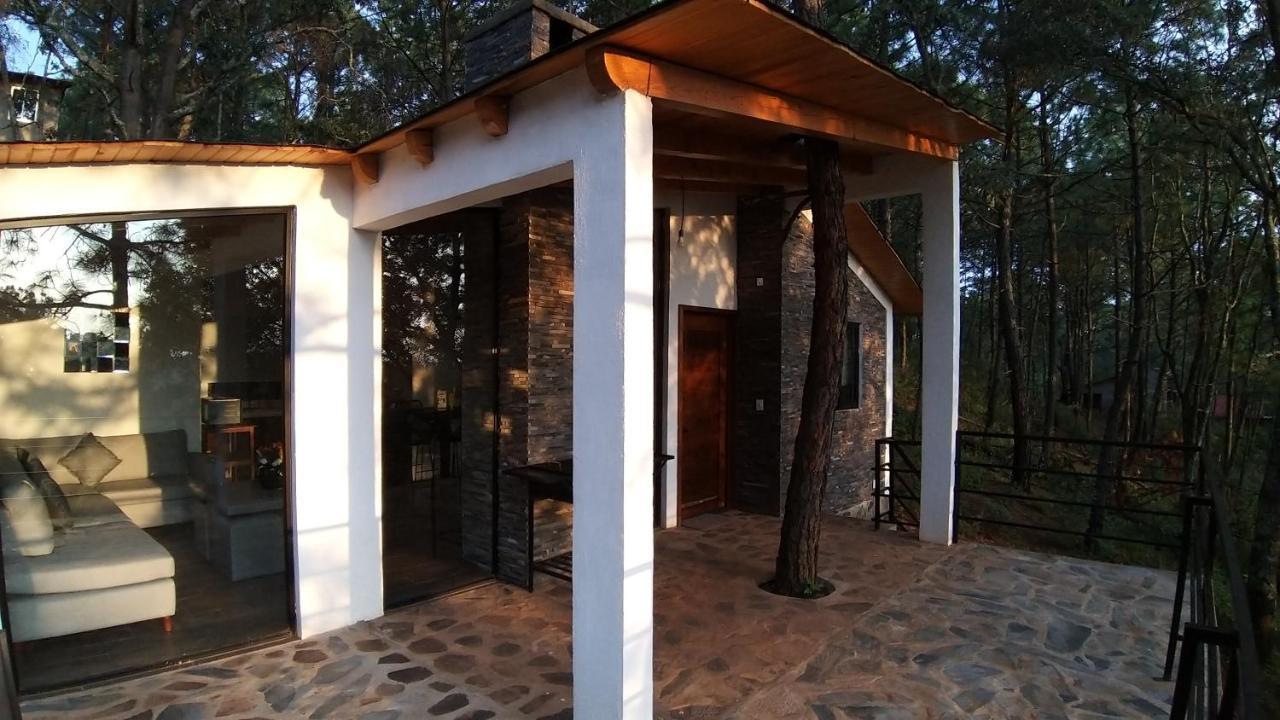 Cabana "Alexa", En El Corazon Del Bosque De Масамітла Екстер'єр фото