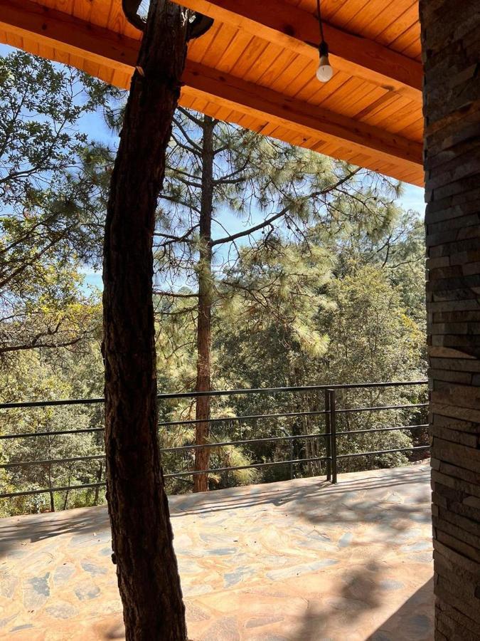 Cabana "Alexa", En El Corazon Del Bosque De Масамітла Екстер'єр фото