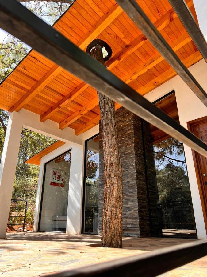 Cabana "Alexa", En El Corazon Del Bosque De Масамітла Екстер'єр фото