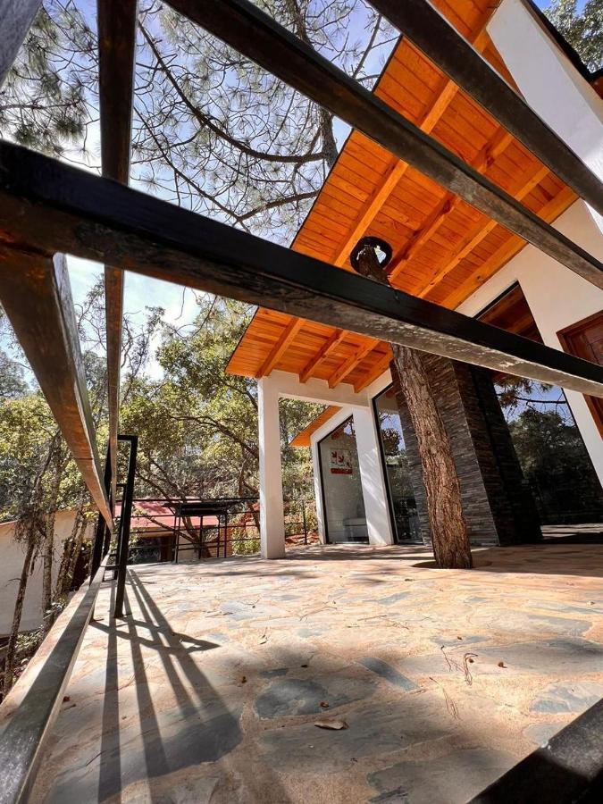 Cabana "Alexa", En El Corazon Del Bosque De Масамітла Екстер'єр фото