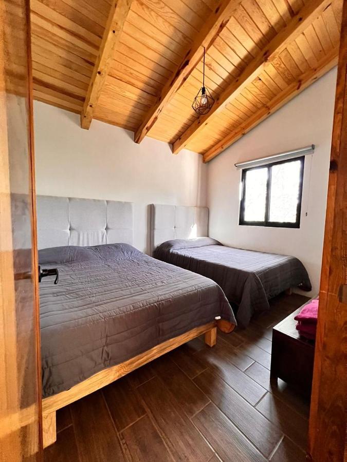 Cabana "Alexa", En El Corazon Del Bosque De Масамітла Екстер'єр фото