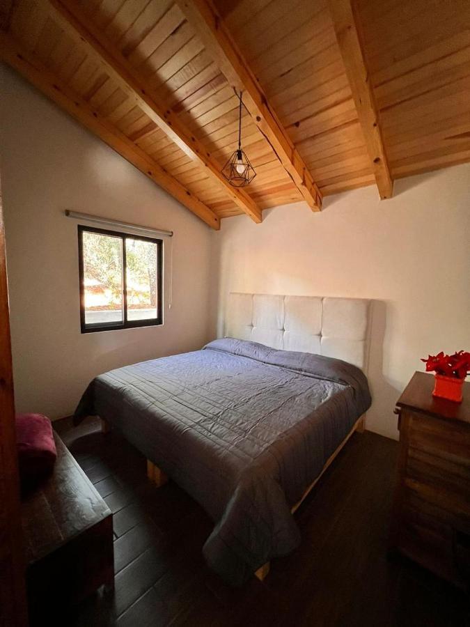 Cabana "Alexa", En El Corazon Del Bosque De Масамітла Екстер'єр фото